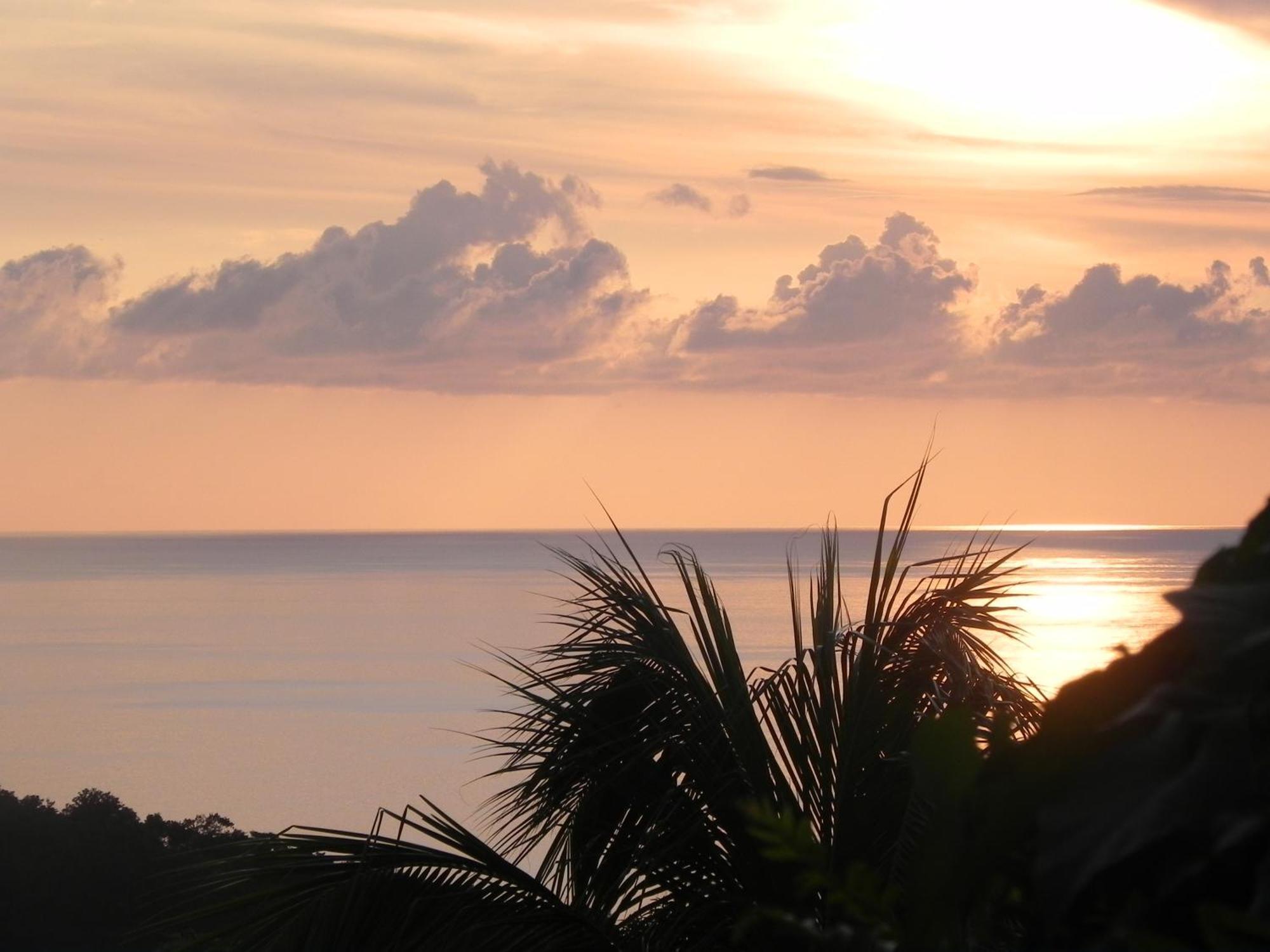 Villa Mielecajou, Entre Mer Et Montagne 德赛 外观 照片