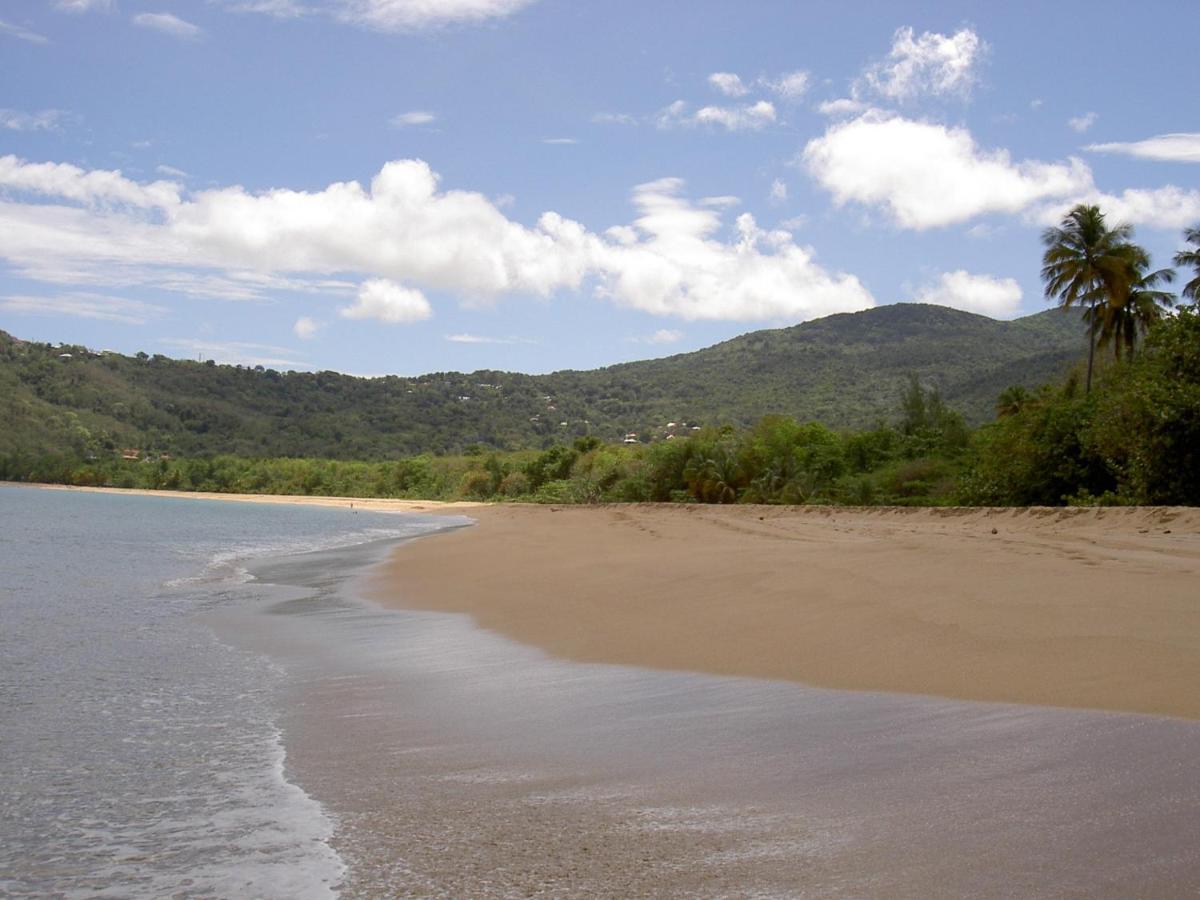 Villa Mielecajou, Entre Mer Et Montagne 德赛 外观 照片